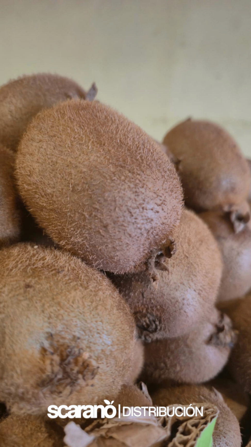 Kiwis frescos