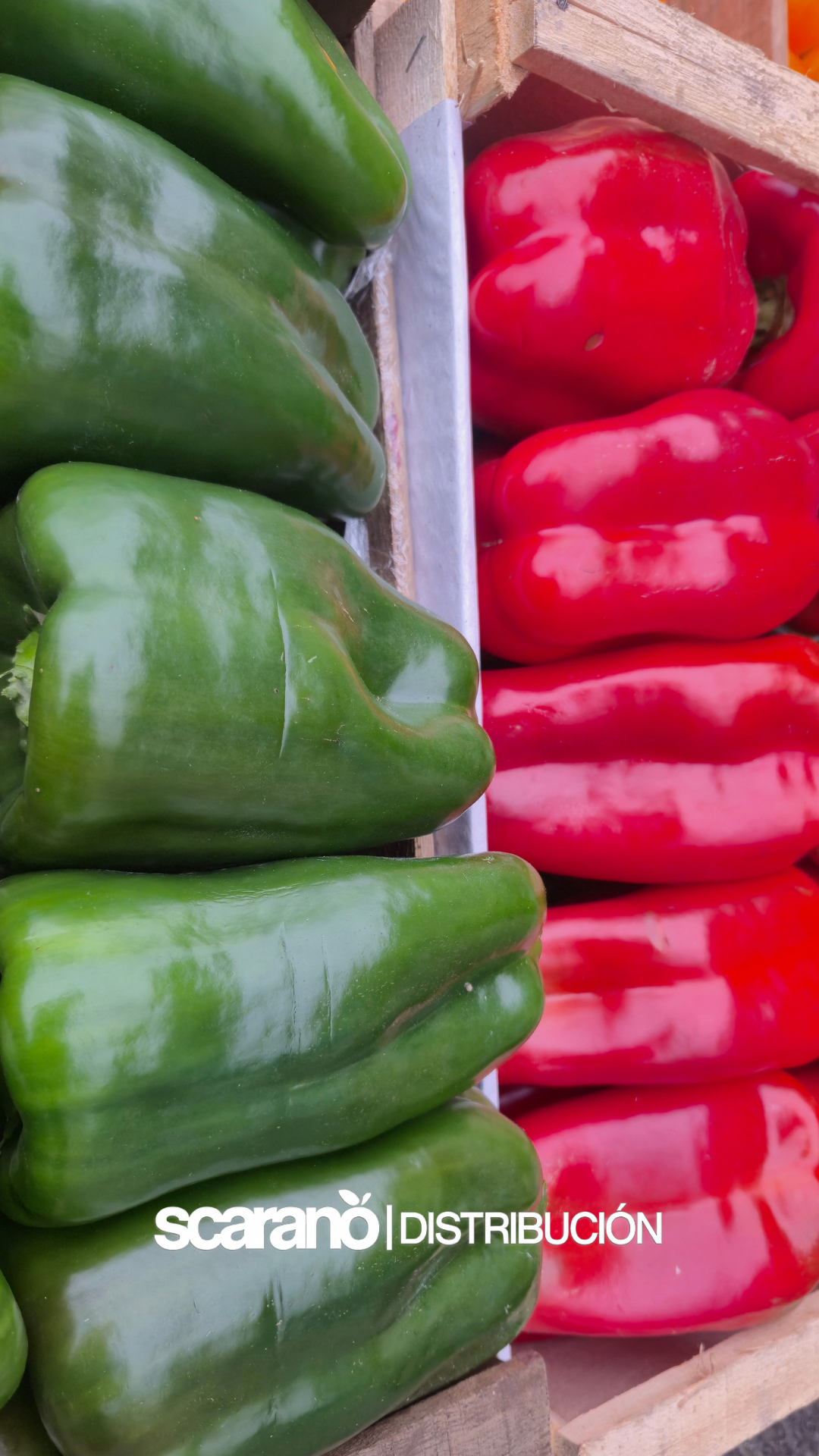 Morrones verdes y rojos en cajón