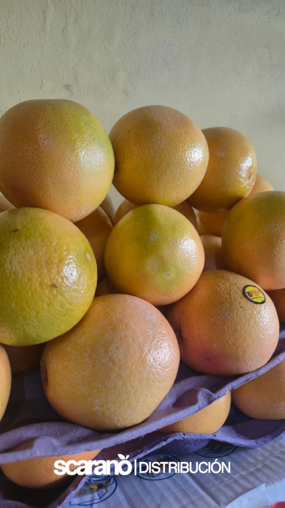 Pomelos frescos
