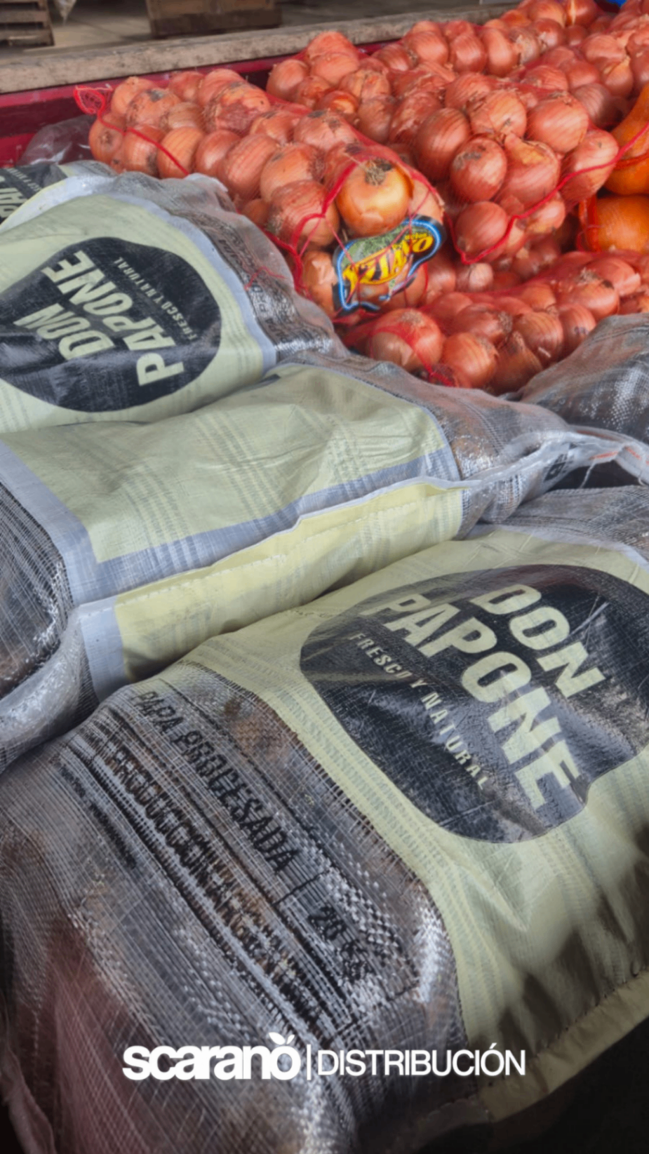 Bolsas de papas Don Papone y cebollas