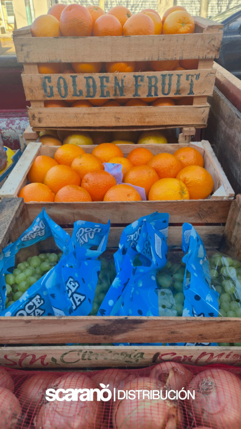 Cajones de naranjas y uvas
